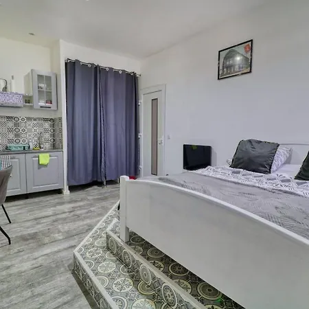 Studio Cosy Avec Terrasse Roanne
